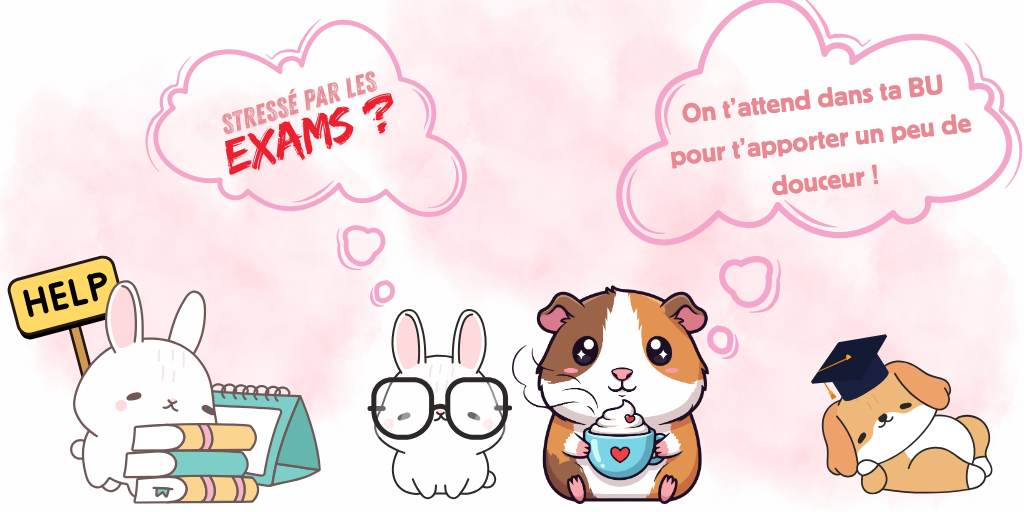 Ateliers pour se détendre avec des animaux dans vos bibliothèques CY