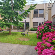 Patio de Hirsch avec hortensia 