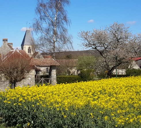Balade géologique à Chérence