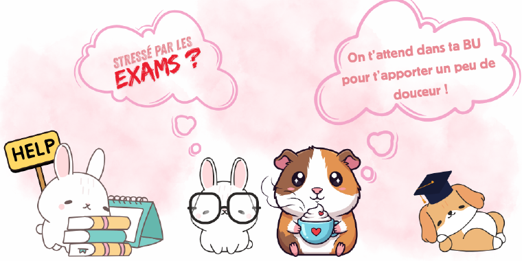 Ateliers pour se détendre avec des animaux dans vos bibliothèques CY