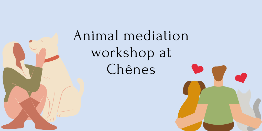 Animal mediation workshop at Chênes