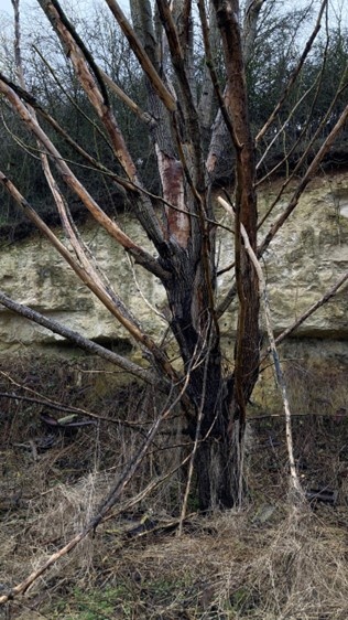Balade géologique au Perchay